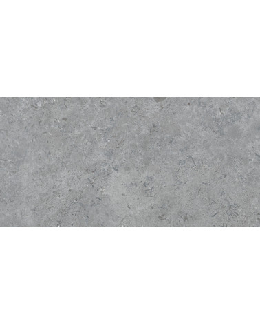 Pro Limestone Grey